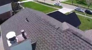 Roof  Inspection
